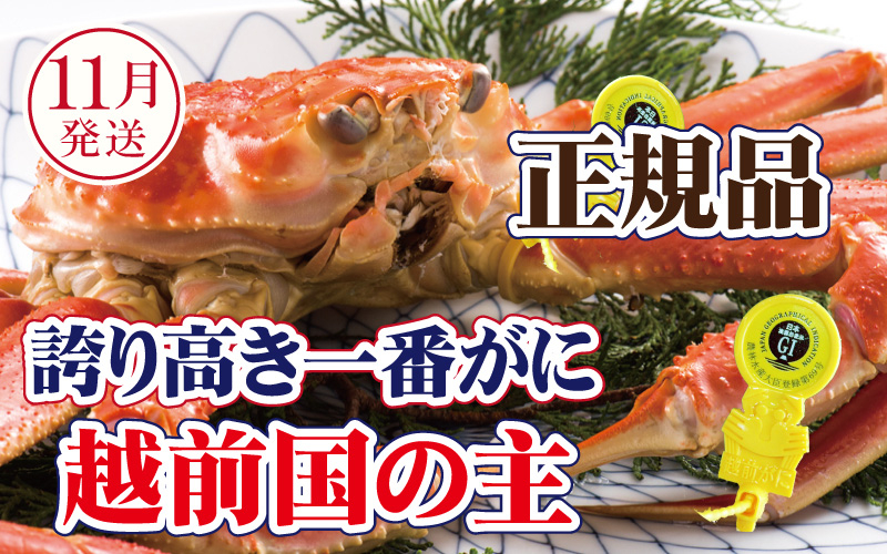 
                  越前がに × 1杯（一番蟹）桐箱入り！越前国の主！越前がにの象徴【雄 ズワイガニ かに カニ 蟹 姿 生 ボイル 冷蔵 福井県】【11月発送分】希望日指定可 備考欄に希望日をご記入ください [e37-x010_11]
                
