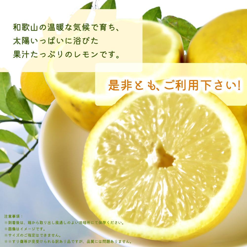 ［ご家庭用訳あり］ 紀州有田産レモン 2.5kg［2026年3月上旬以降発送］［先行予約］［UT46］