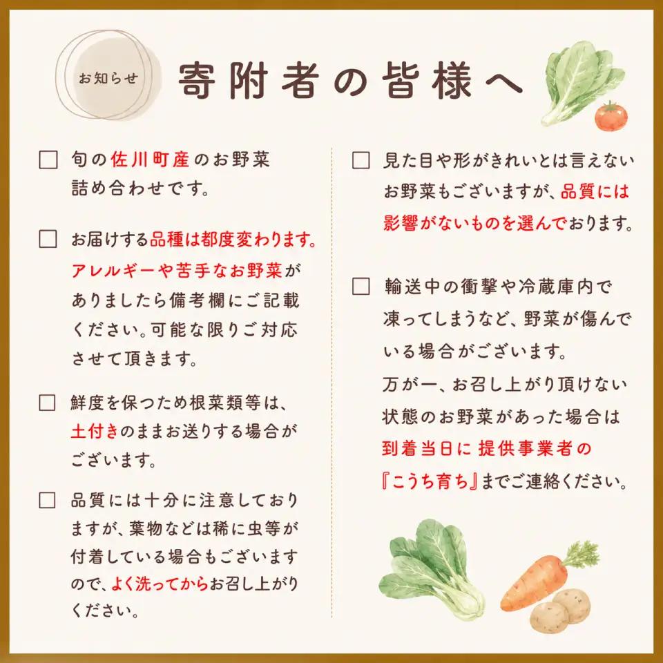 【ふるさと納税】年6回発送！＜南国高知から直送！旬の季節のお野菜定期便（7～9品）＞高知県 佐川町 野菜セット　野菜便 詰め合わせ 旬の時期にお届け 2回目以降、着日時間指定可能【冷蔵】こうち育ち 2