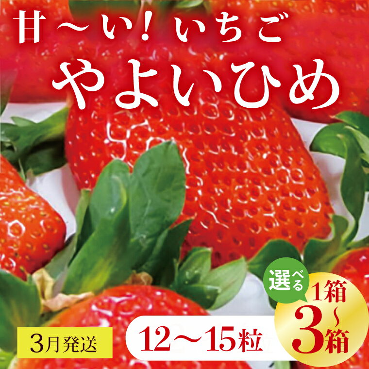 【ふるさと納税】【選べる内容量】【2026年3月発送】甘～い！いちご　やよいひめ　12粒～15粒入り　3～1箱(V-18)