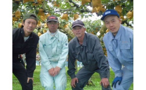 【先行予約】浜田市旭町産赤梨 5kg（豊水）8～16玉＜9月中旬からの発送＞ 梨 豊水 ナシ 和梨 果物 フルーツ くだもの 先行予約 ふるさと納税 梨 【002_1964】
