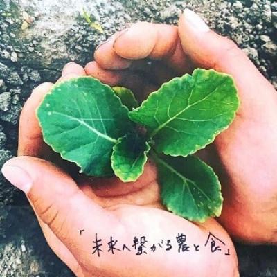 ふるさと納税 洞爺湖町 佐々木ファームよりお届けする旬の野菜詰め合わせ　〜ありがとうBOX 2025・大〜 |  | 03