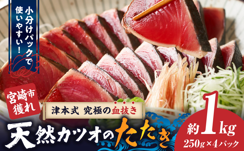 宮崎市獲れ！天然カツオのたたき カツオ タタキ 魚