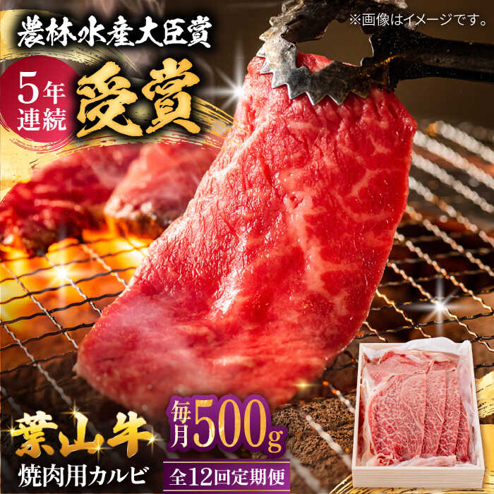 【ふるさと納税】【全12回定期便】 葉山牛 焼肉用カルビ500g / 牛肉 牛 肉 お肉 国産 やきにく 焼き肉 カルビ かるび BBQ ブランド牛 和牛 黒毛和牛 国産牛 贈答 ギフト 冷凍 葉山 定期 定期便 【有限会社葉山旭屋牛肉店】[ASAP040]