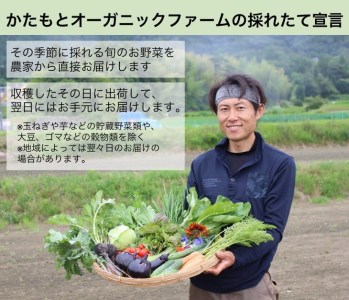 【12回定期便】京都府・亀岡産 自然農法＆農薬を使わずに育てた体も心も喜ぶ、かたもとオーガニックファームの季節のお野菜セット 毎回10～20品目　※離島への発送不可