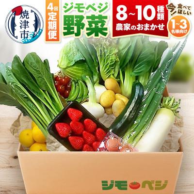 ふるさと納税 焼津市 【定期便 全4回】ジモベジ 野菜 セット(a40-103)