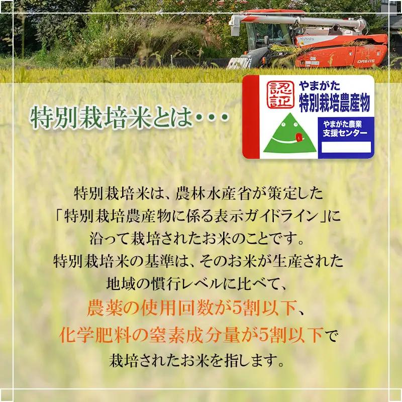 【令和8年産】特別栽培米つや姫 5kg×12ヶ月定期便