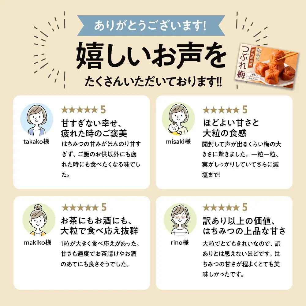 梅干し 塩分約2.7% つぶれ梅干し はちみつ 400g×3個 1.2kg  大粒 訳あり