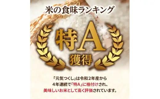 九州・福岡からお届け！ブランド米「元気つくし」定期便 10kg(5㎏×2)【全10回】 お米 米 コメ 白米 特A 直送 お弁当 おにぎり 炊きたて ツヤ 粘り もちもち 弾力 卵かけご飯 福岡県 八