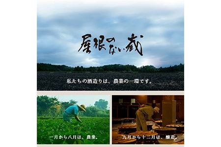 No.802 ＜定期便・全3回(連続)＞鹿児島焼酎！薩摩宝山の豪華セット(6銘柄・各900ml×1本×3回) 焼酎 酒 アルコール 芋焼酎 薩摩芋 米麹 常温 常温保存 セット 飲み比べ 定期便 頒布