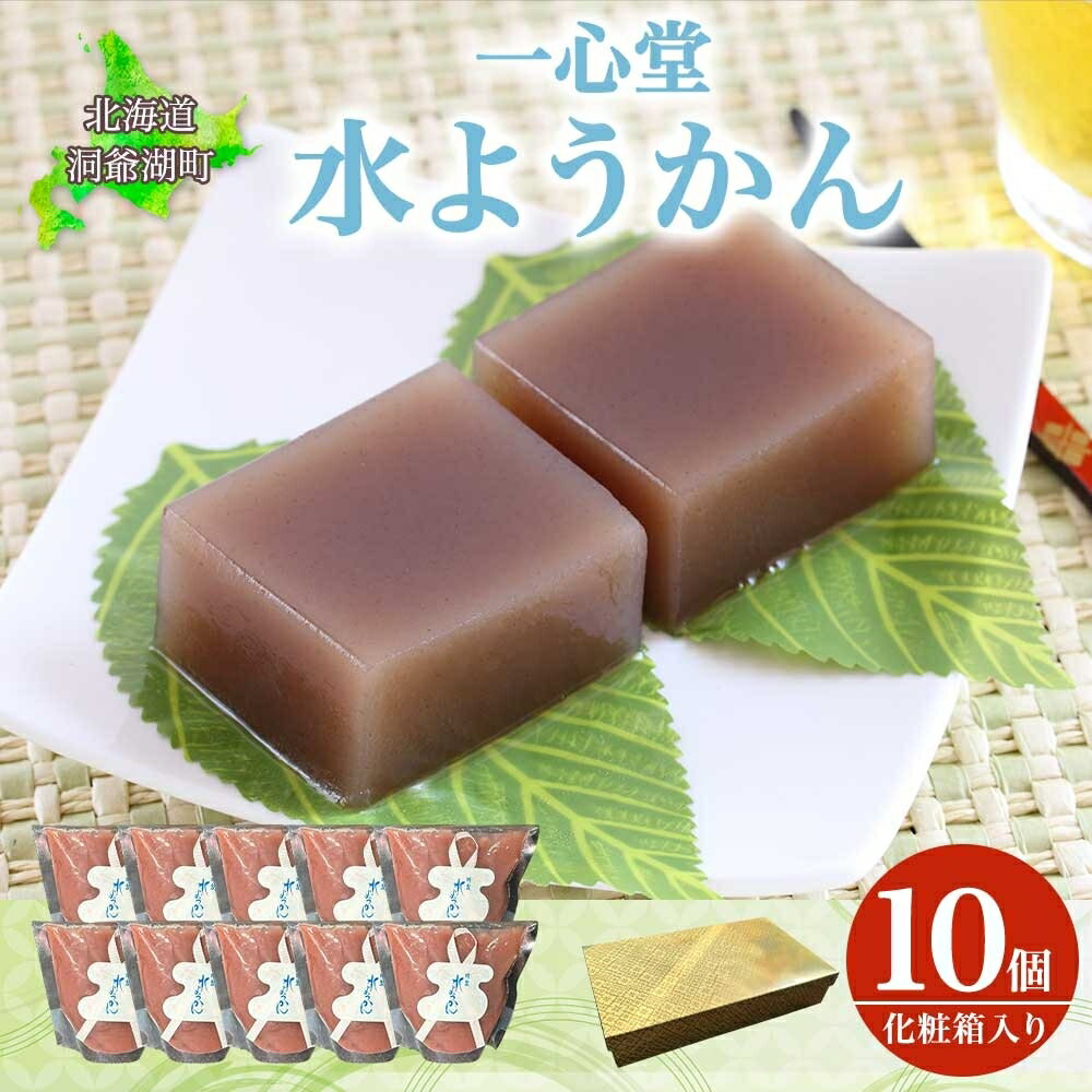 【ふるさと納税】水ようかん 10個 化粧箱入り 7月初旬よりお届け ようかん 和菓子 菓子 羊羹 北海道産 小豆 スイーツ 夏 おやつ お中元 お供え 贈答 お取り寄せ 送料無料 常温 一心堂 北海道 洞爺湖町　お届け：2026年7月初旬から2026年8月10日まで