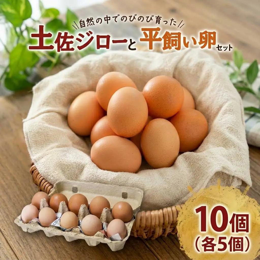 【土佐ジローの卵と平飼い卵 セット】 計10個(各5個)