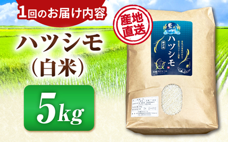 【6回定期便】岐阜県産米ハツシモ(藍の燈)5kg ハツシモ 白米 精米 米　岐阜市 / 藍川ファーム[ANHI004]