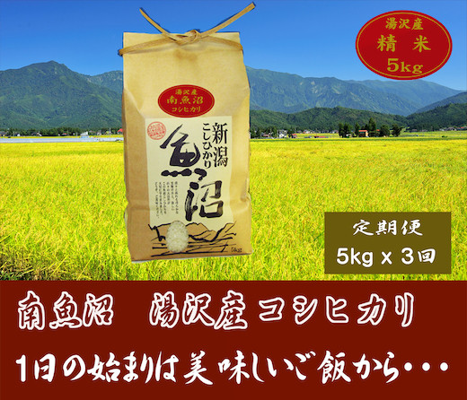 
【3ヶ月定期便】令和6年産【湯沢産コシヒカリ】＜精米＞（白米）5kg 精米したてのお米をお届け
