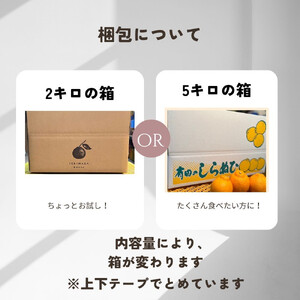 【ふるさと納税】【先行予約】 不知火 5kg 家庭用 サイズ混合 柑橘 フルーツ  産地直送 お取り寄せ 送料無料