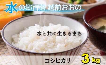 【先行予約】【令和6年産 新米】こしひかり（福井県大野市産）エコファーマー（白米）米3kg [A-003004]