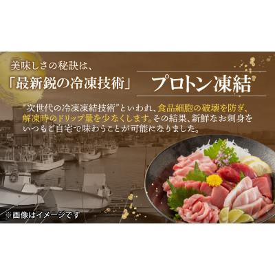 ふるさと納税 福井市 【最新鋭の冷凍技術 刺身用】本まぐろ 大トロ 500g(柵どり) |  | 02