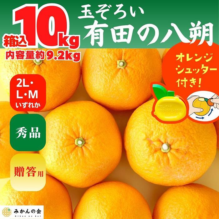 【ふるさと納税】八朔 (はっさく) 玉ぞろい 箱込 10kg(内容量約 9.2kg) 2L L Mサイズのいずれか 秀品 優品 混合和歌山県産 産地直送【おまけ付き】【みかんの会】 | みかん 八朔 和歌山 大玉 秀 優 産地直送 和歌山県 有田川町 ふるさと納税 返礼品 故郷納税