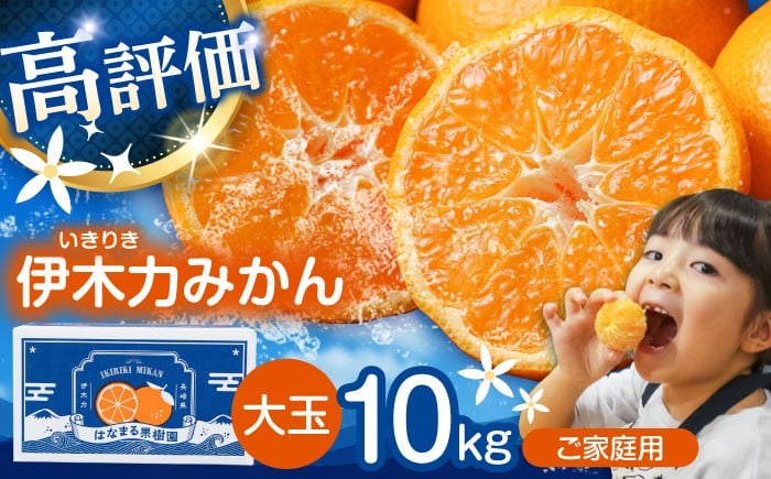 伊木力みかん 大玉 10kg みかん ミカン 蜜柑 柑橘 フルーツ 果物