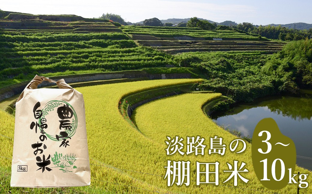 
                  淡路島の棚田米 3kg・5kg・8kg・10kg　精米 白米
                