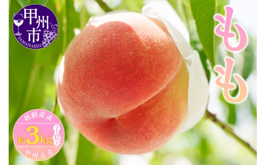新鮮産直 甲州市！桃 約3kg 7～12玉【2026年発送】（KSF）B18-147 【桃 もも モモ 令和8年発送 期間限定 山梨県産 甲州市 フルーツ 果物】