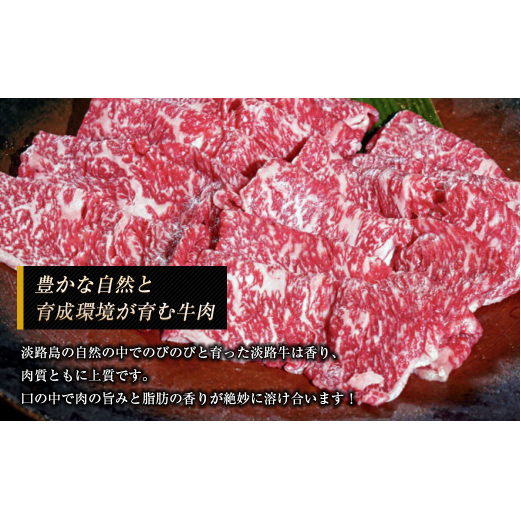 淡路牛 ロース（すき焼き用） １ｋｇ　　 [牛肉すき焼き 黒毛和牛牛肉すき焼き 牛肉すき焼き 国産牛肉すき焼き 牛肉すき焼き]_イメージ2