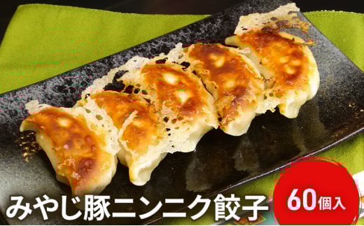 にんにく餃子 冷凍餃子 みやじ豚 ブランド豚 100% 60個入り ニンニク 餃子 ぎょうざ ギョウザ ギョーザ ぎょーざ 焼き餃子 水餃子 加納の王道 おつまみ ビール お酒 あて おかず 一口 お惣菜 ごはんのお供 国産 中華 お取り寄せ ギフト 化粧箱入 贈り物 贈答 お土産 冷凍 加工 食品