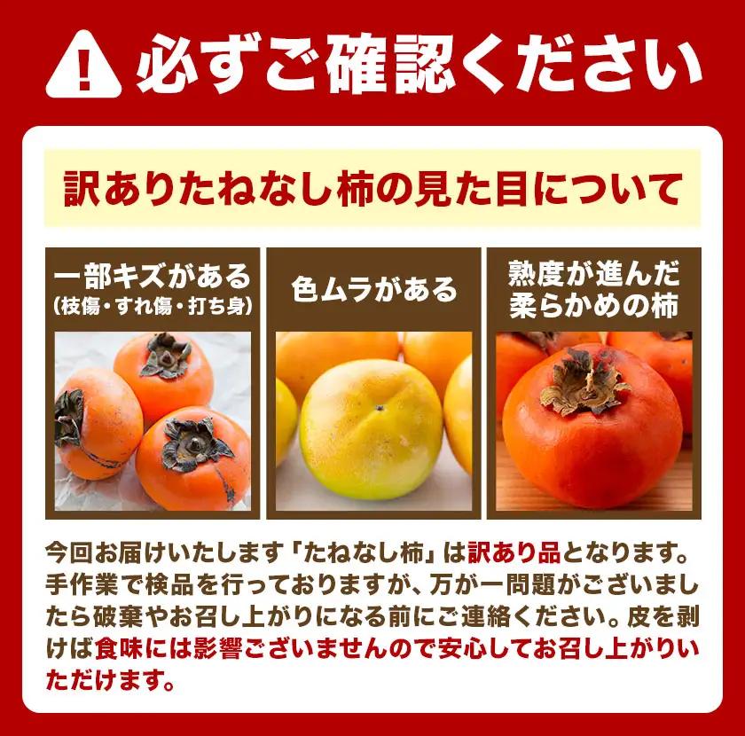 訳あり たねなし柿 1.5kg 柿
