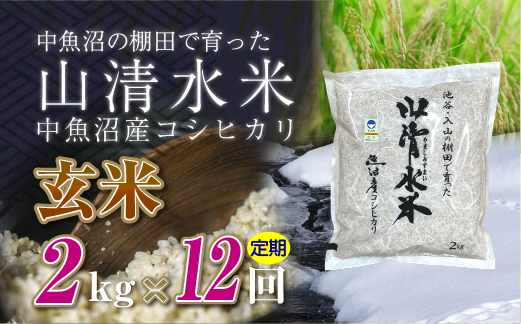 【先行新米予約】【定期便／全12回】玄米2kg　新潟県魚沼産コシヒカリ「山清水米」十日町市 米