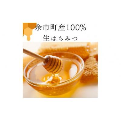 ふるさと納税 余市町 北海道余市町産　無添加はちみつ　シナ(滝下養蜂園)[ふるさとクリエイト]_Y067-0050 |  | 02