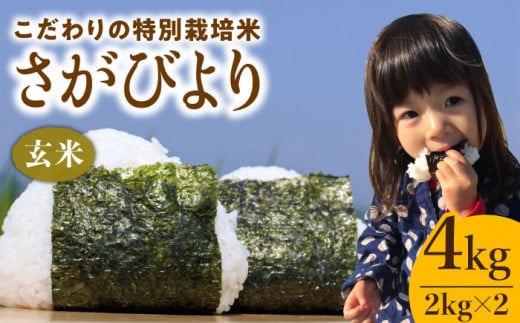 【2026年1月発送】さがびより ( 玄米 ) 4kg【北原農園】[HCA003]