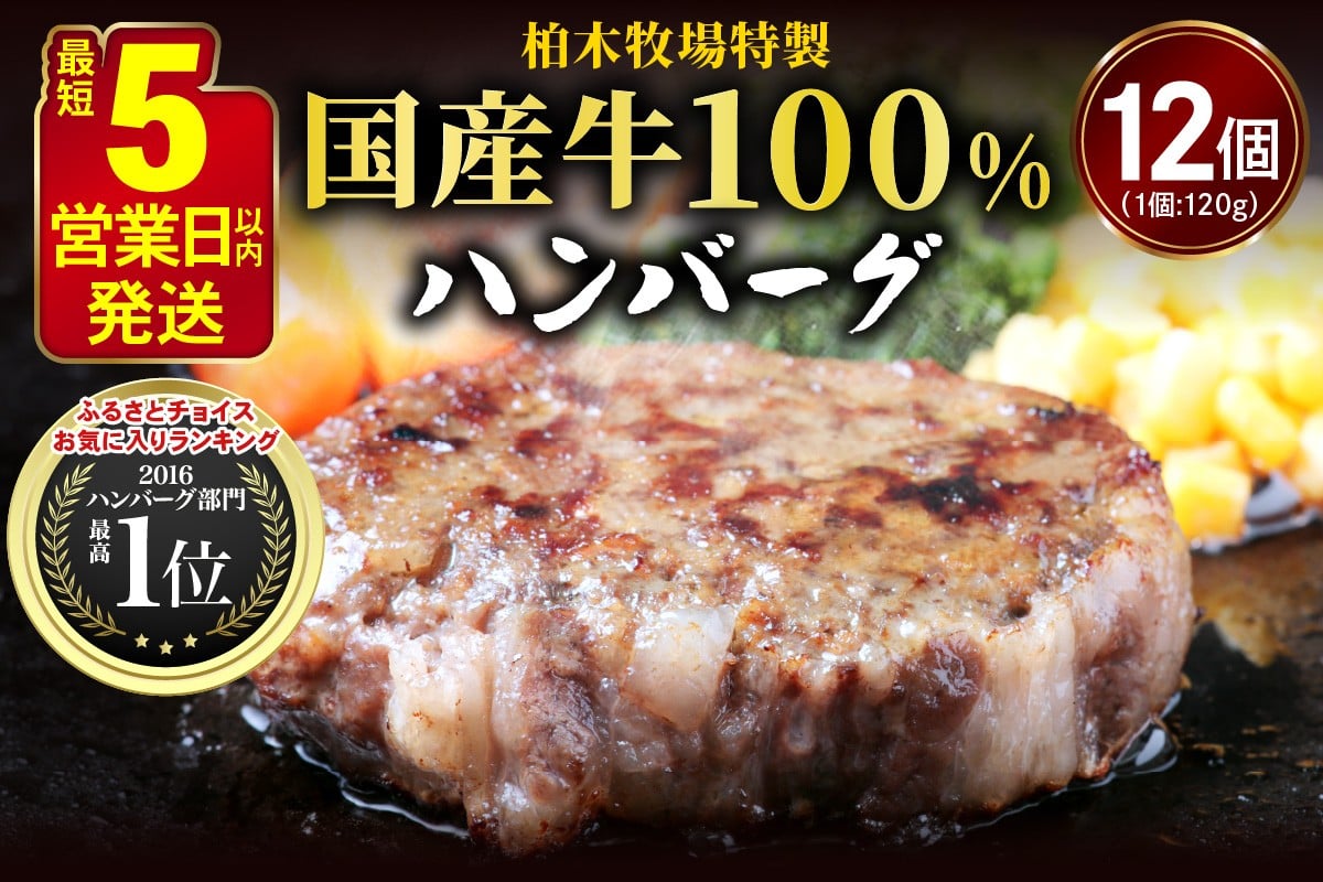
[ジュワッと肉汁まで美味い！] 柏木牧場特製 国産牛100%ハンバーグ (120g×12個) [0067] 伊勢原市 牛肉 特製 ギフト 神奈川県 贈り物 人気 お土産 正月 肉の日 バーベキュー パーティ 冷凍便 惣菜 肉 焼くだけ
