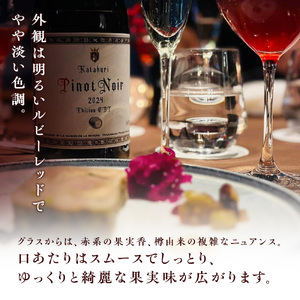 かたくり ピノ・ノワール エディション CBT 2024 ラ・メゾン・ド・ラ・リヴィエール 赤ワイン ぶどう ピノノワール 北海道産 お酒 酒 洋酒 果実酒 アルコール 北海道 仁木町 [ 株式会社S