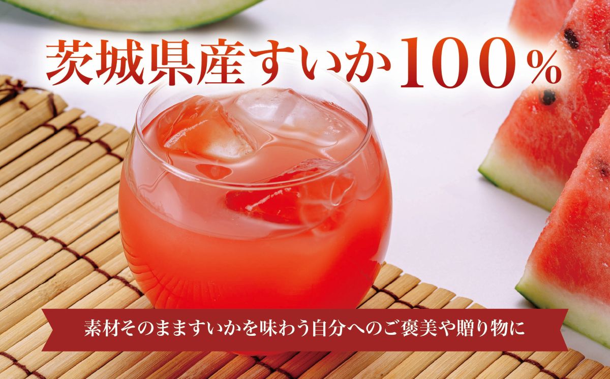 すいかジュース 100g × 15 パック ＜離島・沖縄配送不可＞ 【 茨城県 つくば市 西瓜 飲料 ドリンク フルーツジュース すいか ジュース スイカ 健康  無添加 】