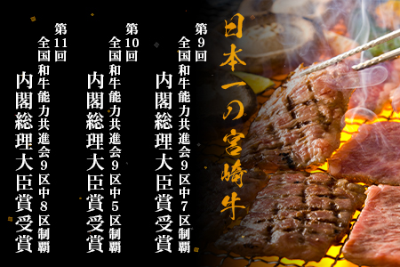 受賞歴多数!! 宮崎牛 ロースステーキ 250g×2【合計500g】