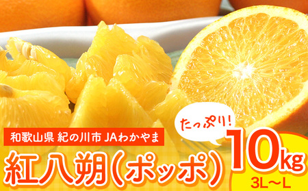 【先行予約】紅八朔(ポッポ) 約10kg JAわかやま 紀の里地域本部 