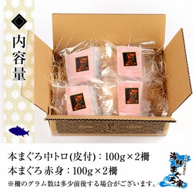 ふるさと納税 いちき串木野市 天然 本マグロ 中トロ 100g×2 赤身 100g×2 計400g 便利な真空小分け |  | 03