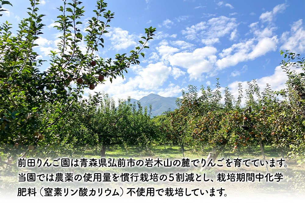 飲み比べ 無添加 ストレート りんごジュース 180ｍl × 12本セット 前田りんご園 リンゴ 果汁 林檎 飲料 アップル 果物 フルーツ 青森 飲み物 ドリンク