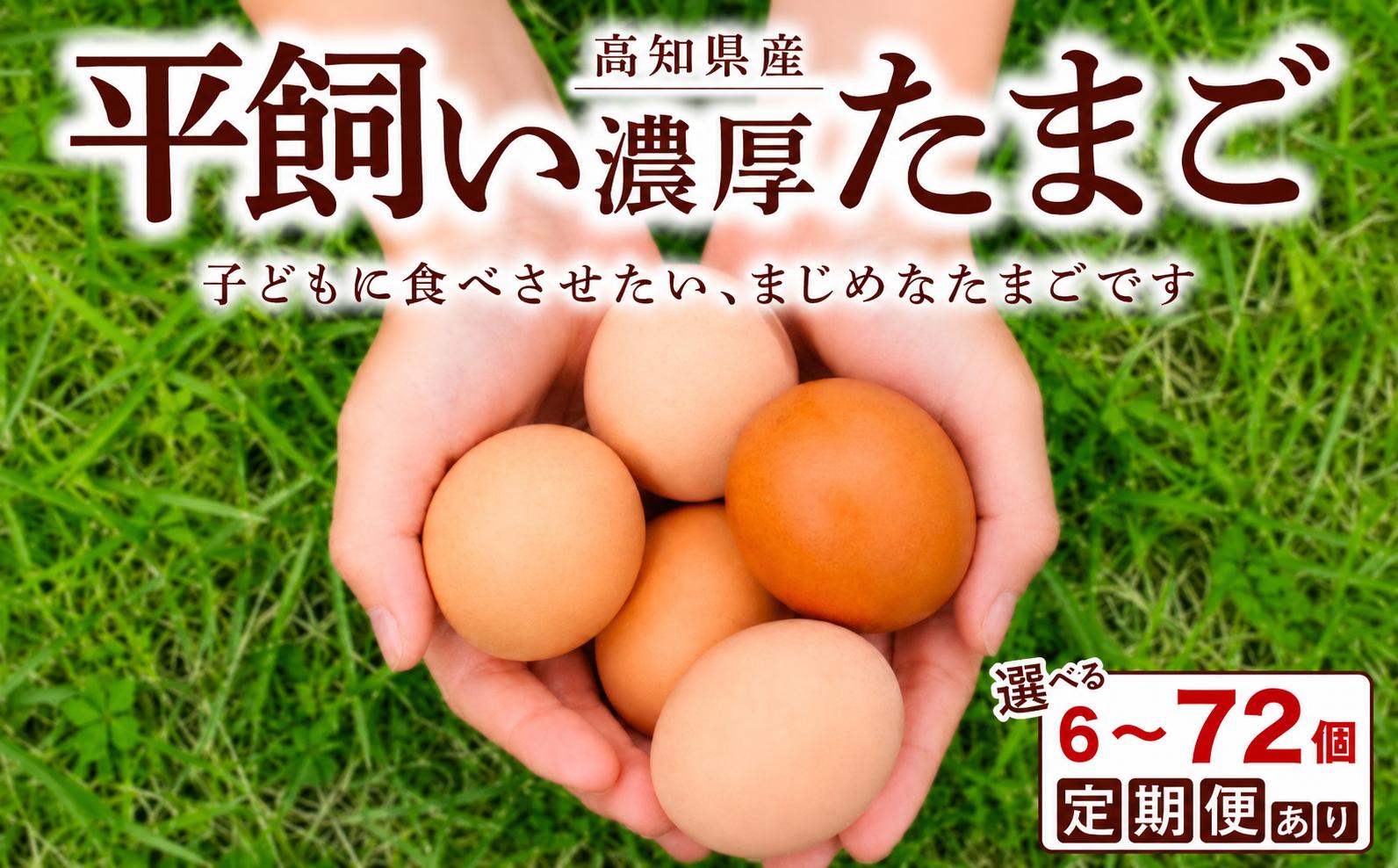 
                  定期便 卵 選べる たまご 最大 72個 12か月 平飼い 濃厚 Sサイズ  たまごセット 放し飼い 卵定期便  卵料理 卵焼き 玉子 タマゴ 卵かけご飯 新鮮 ゆで卵 オムレツ TKG 鶏 鶏卵 コク 裏庭たまご ごはんのとも 日用品 消耗品 生卵 贈答 ギフト 贈答品 冷蔵 朝食 朝 簡単調理  宿毛市 高知県 
                