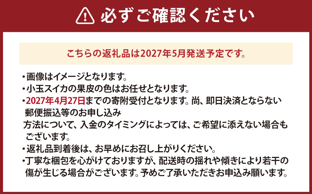 《母の日》 小玉スイカ1玉とカーネーション1鉢
