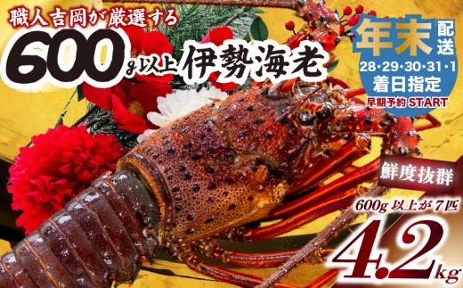 【伊勢海老】 【年末予約配送･28日着】特大伊勢海老 7匹