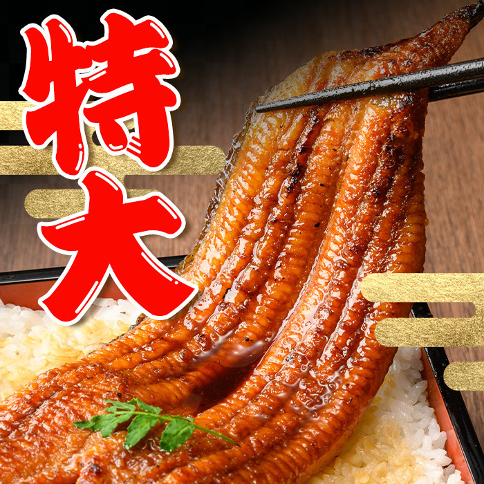 i1078-B-k 【敬老の日ギフト】＼特大サイズ／鹿児島県産 うなぎ蒲焼  3尾（約220g×3・計約660g） たれ 山椒付きうなぎ 鰻 ウナギ 特大 特大サイズ 約220g 蒲焼き 国産 鹿児島