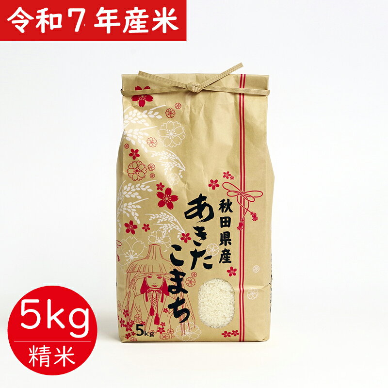 【ふるさと納税】米 令和7年産 あきたこまち 5kg × 1袋 秋田県産 白米 精米 5キロ さいとうさん家のあきたこまち お米 弁当 おにぎり 食品 東北 秋田県 お取り寄せ お取り寄せグルメ 送料無料　95P9002