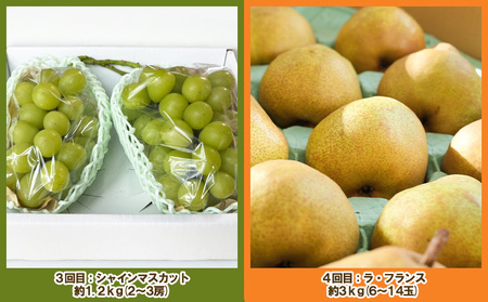 【定期便4回】ノノハナフルーツ 山形人気のフルーツ直送便 TOP４【令和8年産先行予約】FS25-070