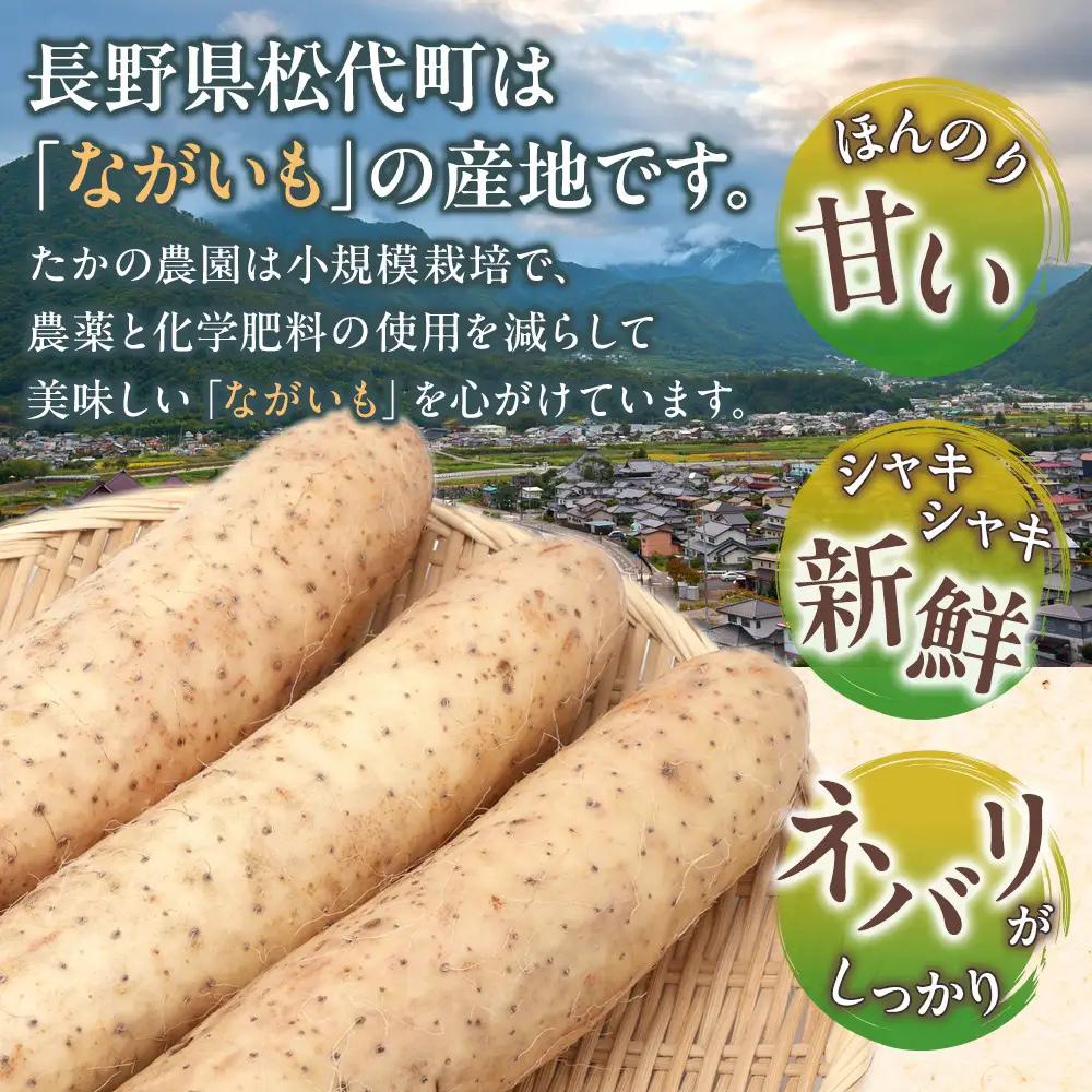 高野農園　長野市ながいも 5kg (2026年11月下旬頃出荷分）  | ながいも 長芋