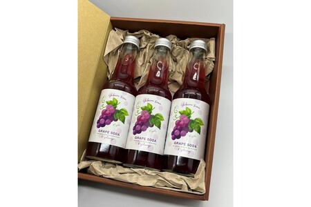 京丹後のぶどう炭酸ジュース（ソーダ） 小瓶3本入り（2025年9月下旬～発送）