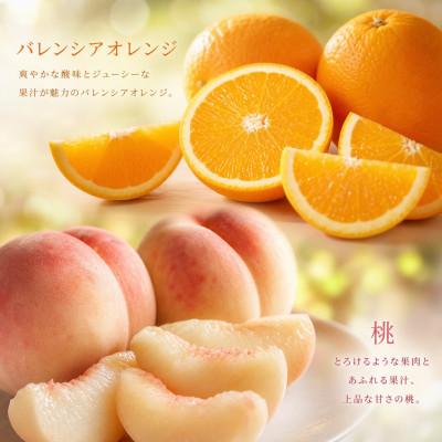 ふるさと納税 那智勝浦町 【発送月固定定期便】紀州和歌山産旬のフルーツセット(バレンシア・桃・ひらたねなし柿・富有柿)全4回 |  | 01