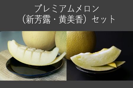 【先行予約／数量限定30】プレミアムメロン（新芳露・黄美香）セット（2026年7月下旬～発送）　DE00157