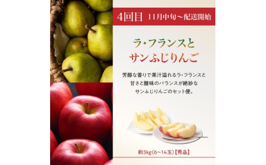 ≪先行受付≫8種のフルーツ詰合せセット★スペシャル便【定期便全４回】
