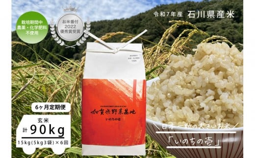 
            【6ヶ月定期便】【お米番付優秀賞受賞農家】日本一粒の大きいお米『いのちの壱』玄米15kg×6回
          